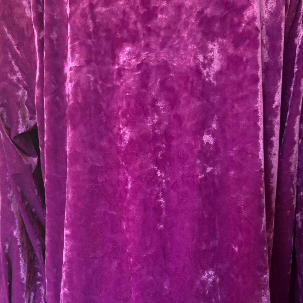 NWT J. Jill Crushed Velvet 3/4 Sleeve Pullover in Sugarbeet size Large Tall - Picture 7 of 15